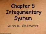 Chapter 5 Integumentary System - slide 1