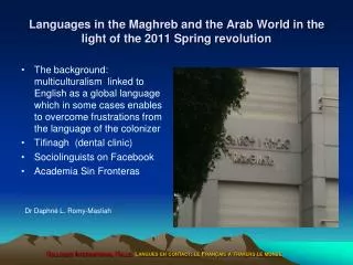 Languages in the Maghreb and the Arab World in the light of the 2011 Spring revolution