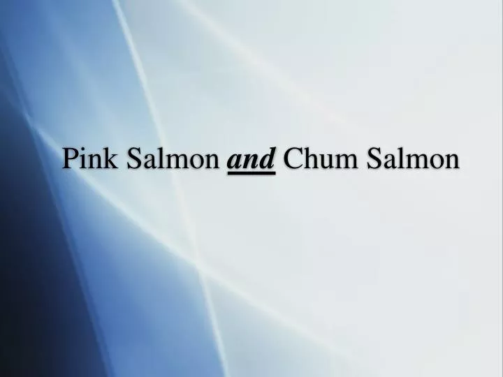 pink salmon and chum salmon
