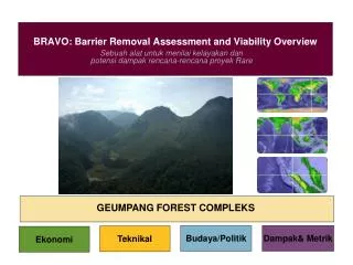 bravo barrier removal assessment and viability overview