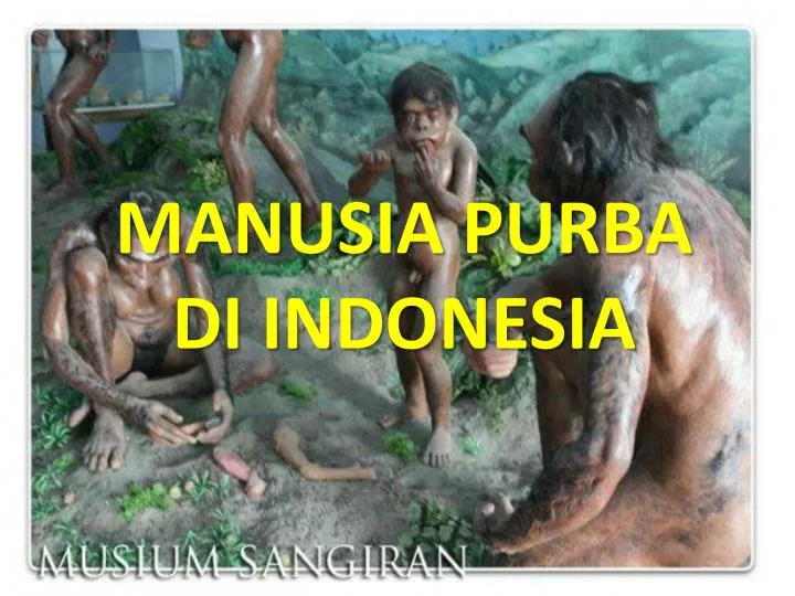 manusia purba di indonesia