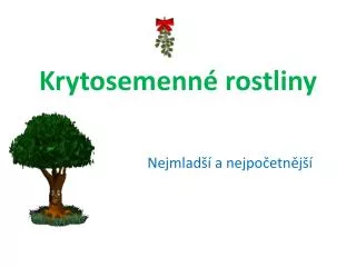 krytosemenn rostliny