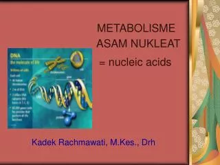 kadek rachmawati m kes drh