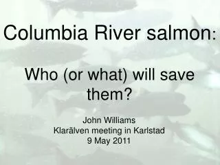 Columbia River salmon : Who (or what) will save them?