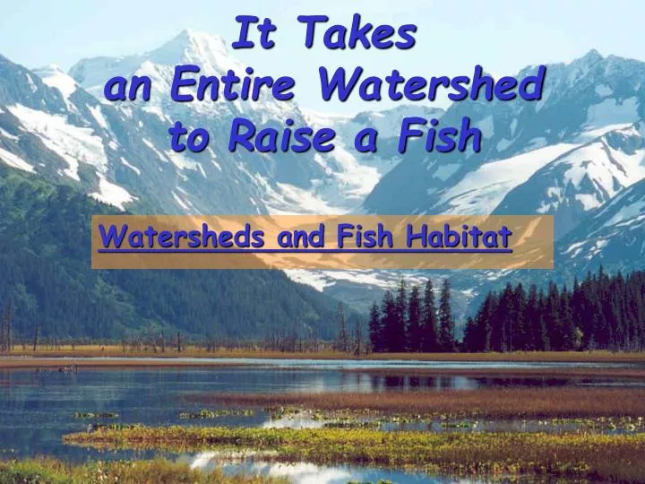 it takes an entire watershed to raise a fish