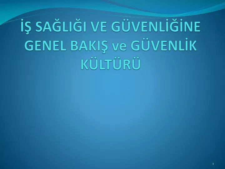 sa li i ve g venl ne genel baki ve g venl k k lt r