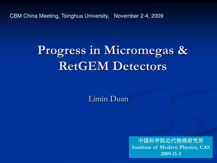 progress in micromegas retgem detectors