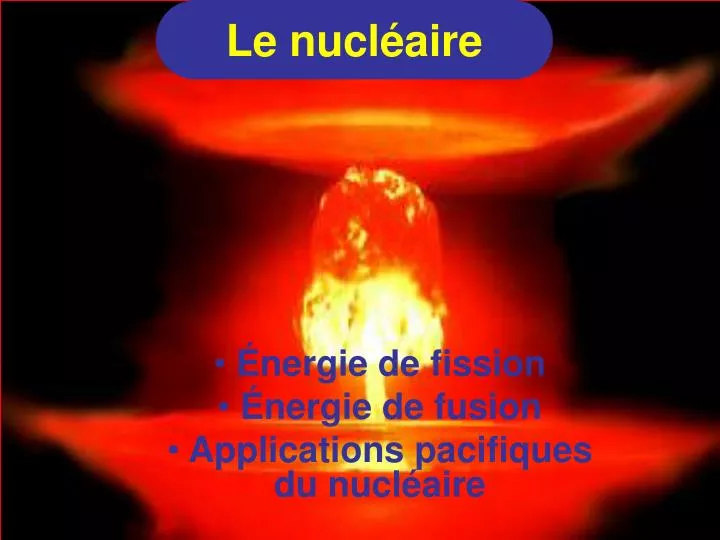 le nucl aire