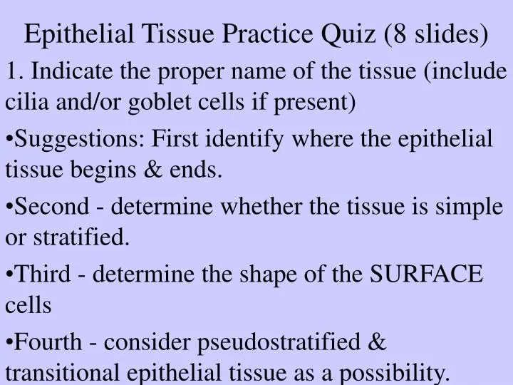 epithelial tissue practice quiz 8 slides