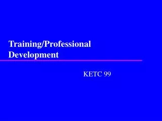 Training/Professional Development