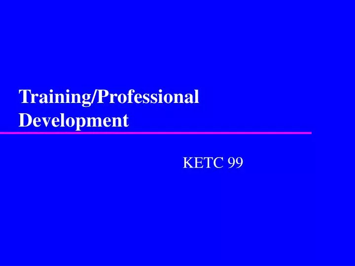 training professional development
