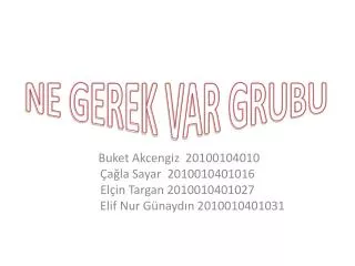 ne gerek var grubu