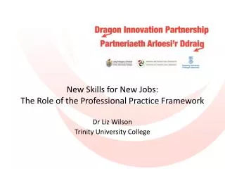 New Skills for New Jobs: The Role of the Professional Practice Framework