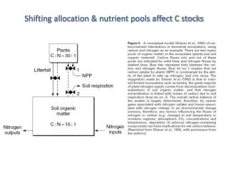 Shifting allocation &amp; nutrient pools affect C stocks