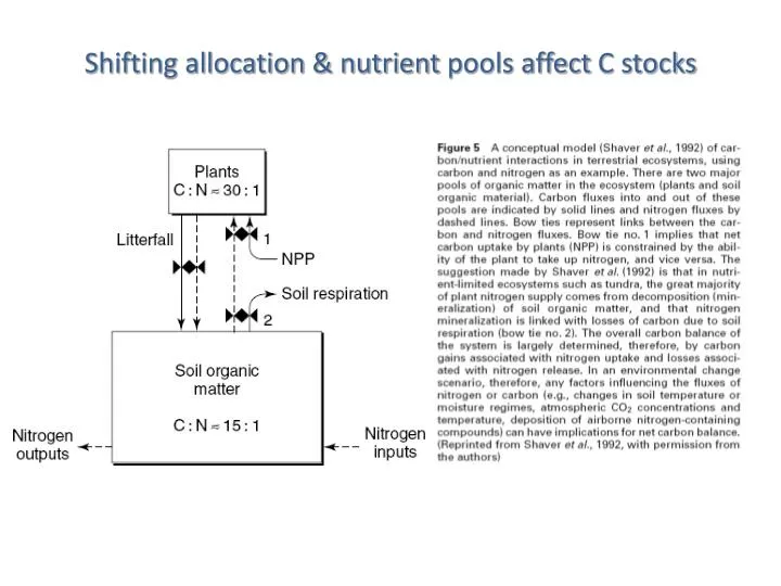 shifting allocation nutrient pools affect c stocks