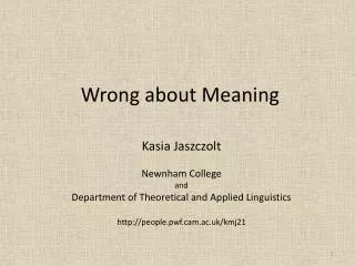 Wrong about Meaning