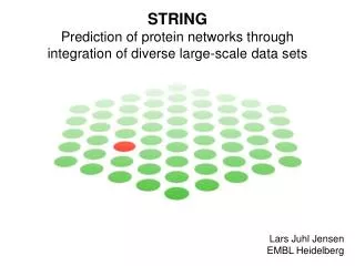 STRING Prediction of protein networks through integration of diverse large-scale data sets