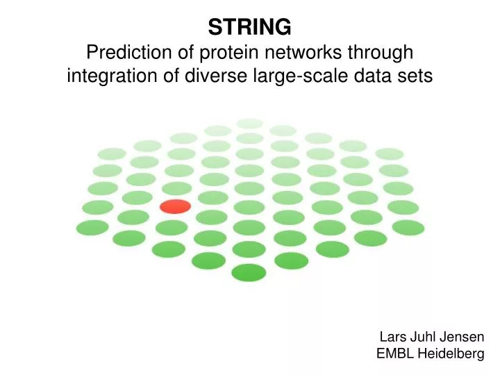 string prediction of protein networks through integration of diverse large scale data sets