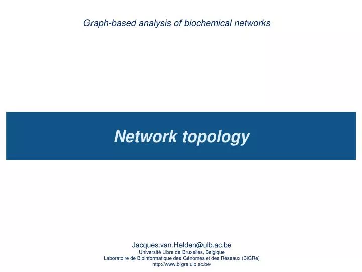 graph based analysis of biochemical networks