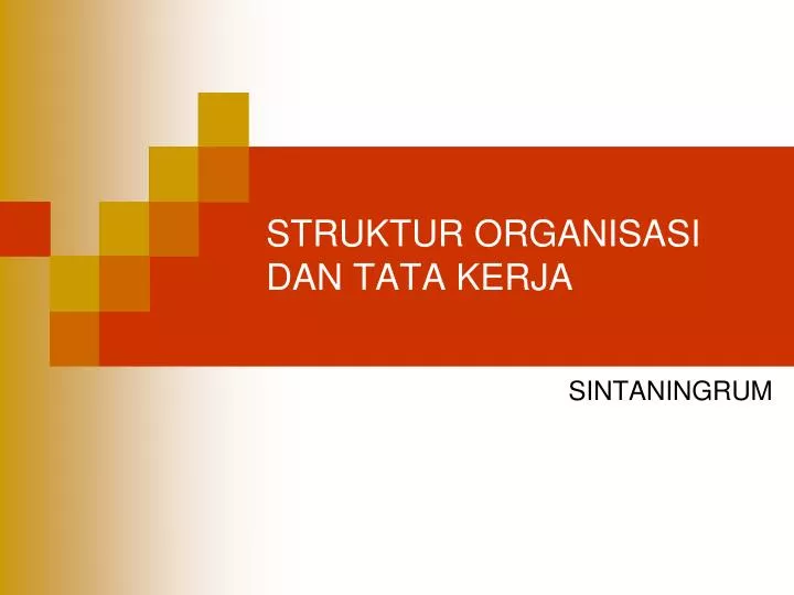 struktur organisasi dan tata kerja