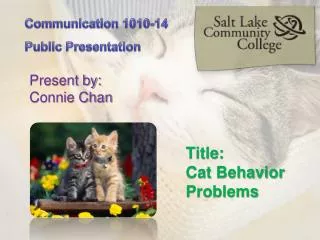 Title: Cat Behavior Problems