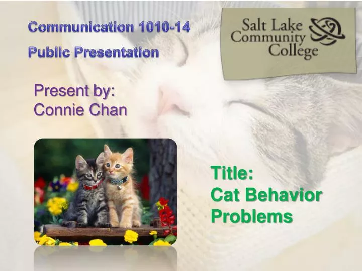 title cat behavior problems