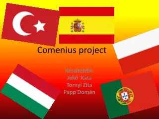 comenius project