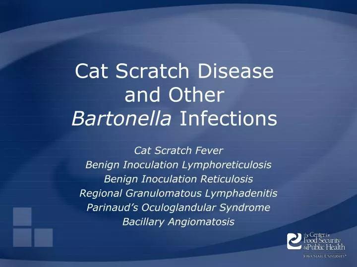 cat scratch disease and other bartonella infections