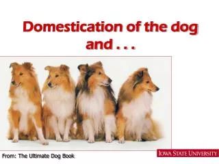 Domestication of the dog and . . .