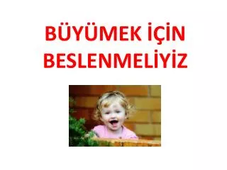 b y mek n beslenmel y z