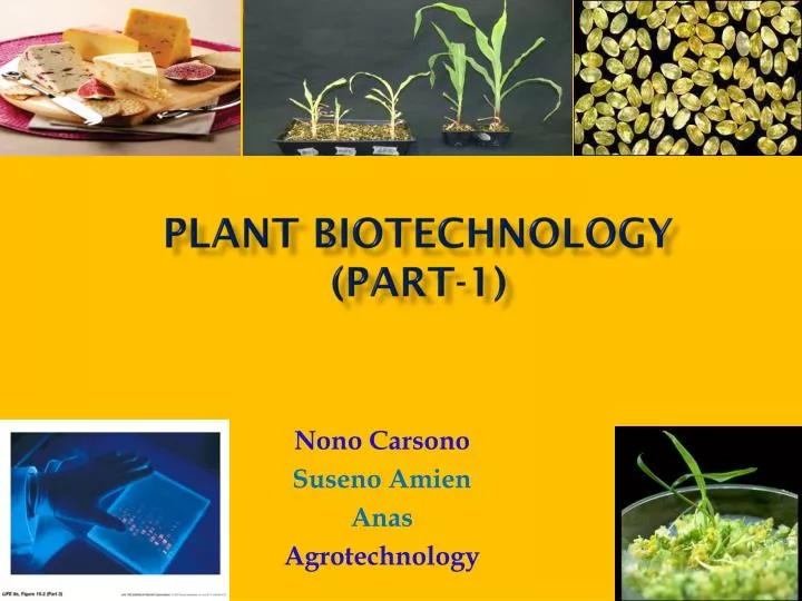 plant biotechnology part 1