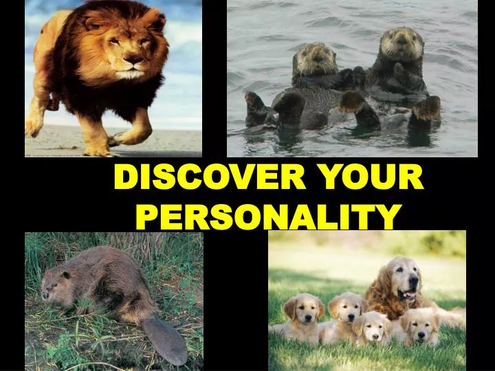 discover your personality