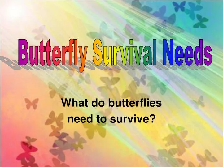 what do butterflies need to survive