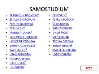 SAMOSTUDIUM