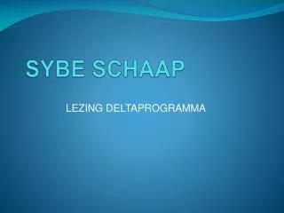 sybe schaap