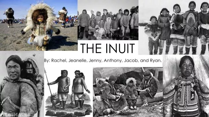 the inuit