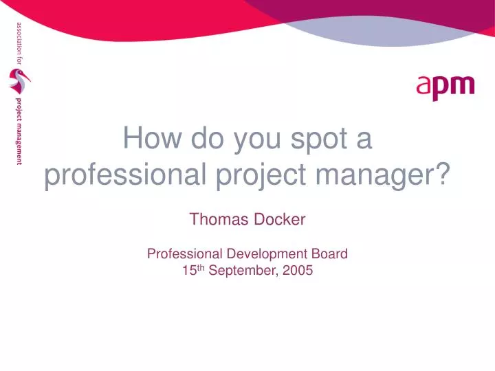 how do you spot a professional project manager