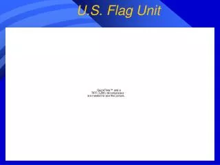 U.S. Flag Unit