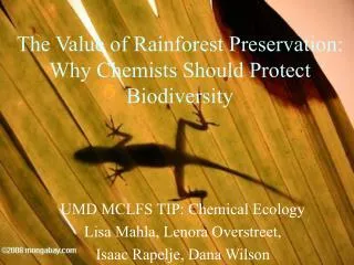 The Value of Rainforest Preservation: Why Chemists Should Protect Biodiversity
