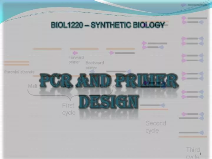 pcr and primer design