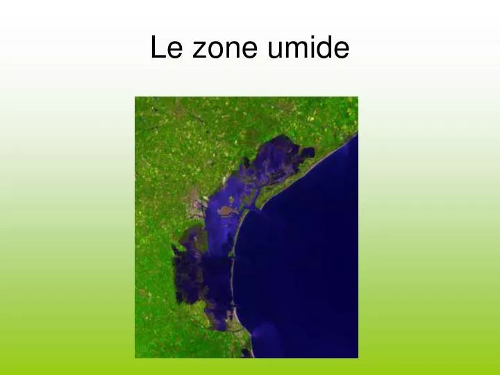 le zone umide