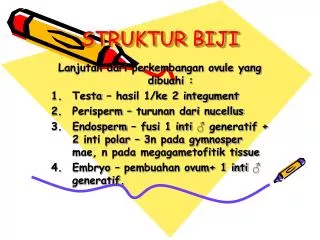 struktur biji