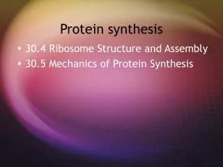 Protein synthesis