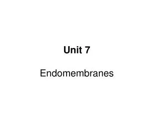 Unit 7 Endomembranes