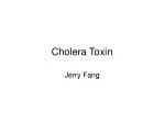 Cholera Toxin - slide 1