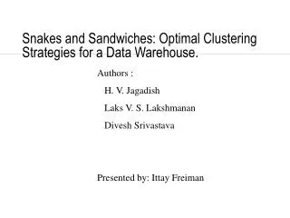 Snakes and Sandwiches: Optimal Clustering Strategies for a Data Warehouse.