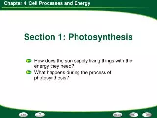 How does the sun supply living things with the energy they need?