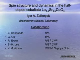 Spin structure and dynamics in the half-doped cobaltate La 1.5 Sr 0.5 CoO 4