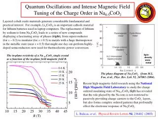 Quantum Oscillations and Intense Magnetic Field Tuning of the Charge Order in Na 0.5 CoO 2