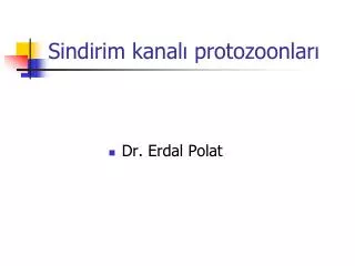 sindirim kanal protozoonlar